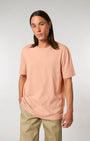 STTU169 C101 mannequin